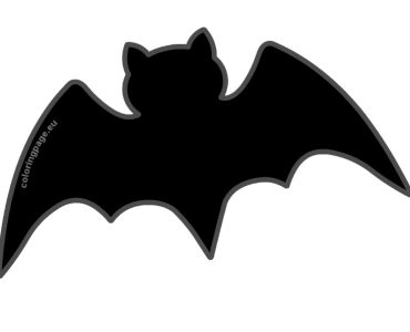 black bat