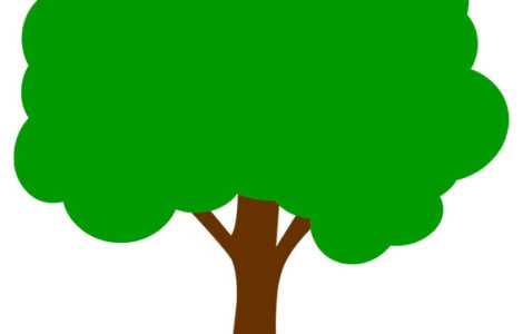 simple tree