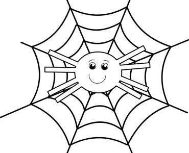 spider web