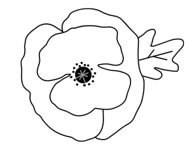 poppy