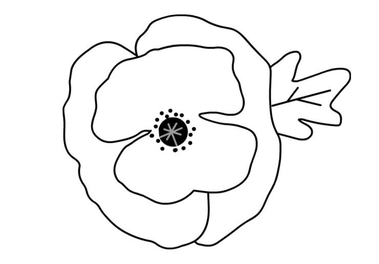 Poppy flower Coloring Page