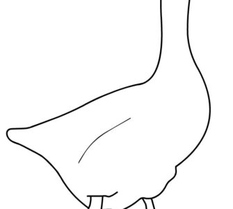 simple goose