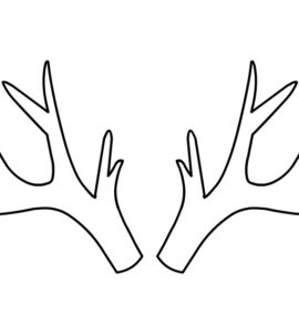 deer antlers