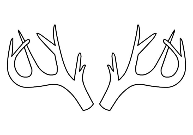 Deer Antlers | Coloring Page