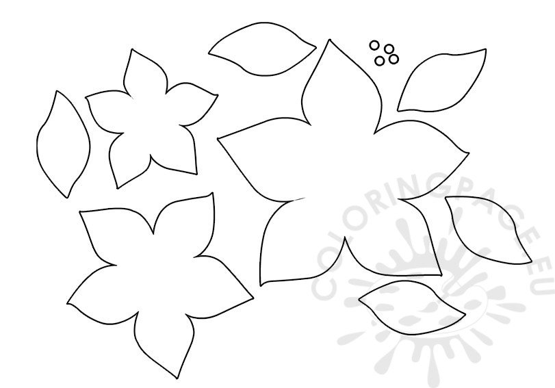 Poinsettia template | Coloring Page