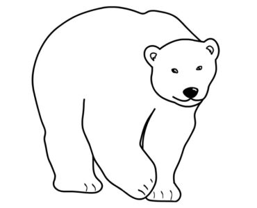 polar bear