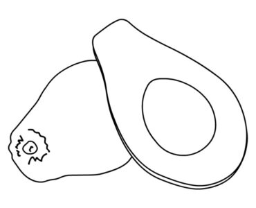 avocado