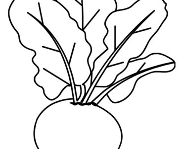 beet