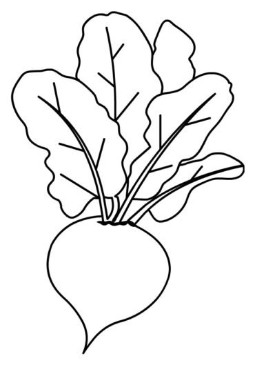 Beet | Coloring Page