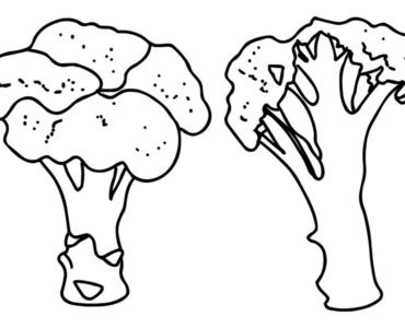 broccoli