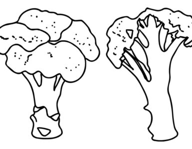 broccoli