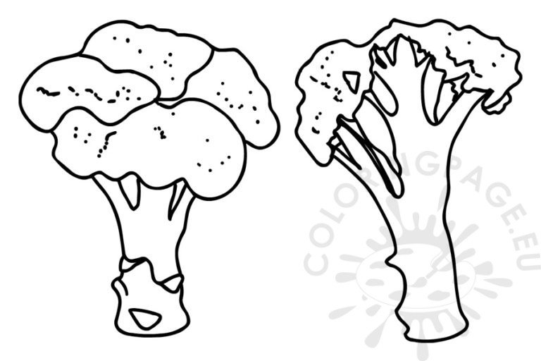 Broccoli | Coloring Page