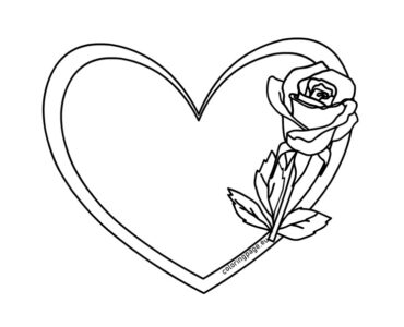 heart rose