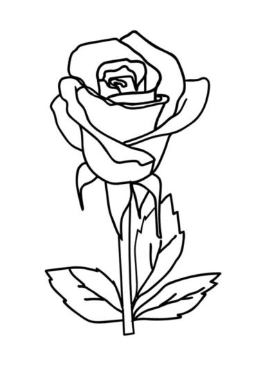 Rose bud | Coloring Page