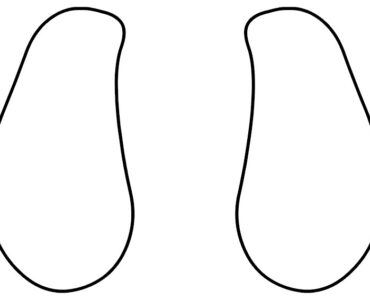 dog ears