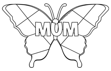 butterfly mum