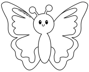 cute butterfly