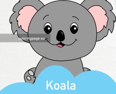 cute koala