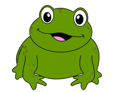 green toad