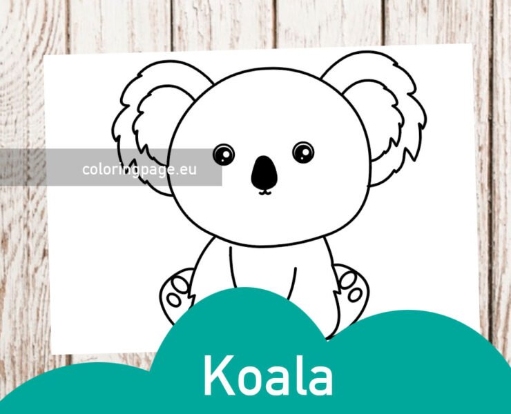 Cute Koala | Coloring Page