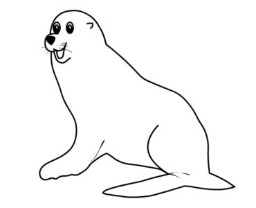 seal