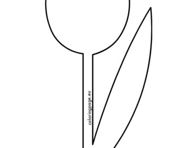 tulip shape 2