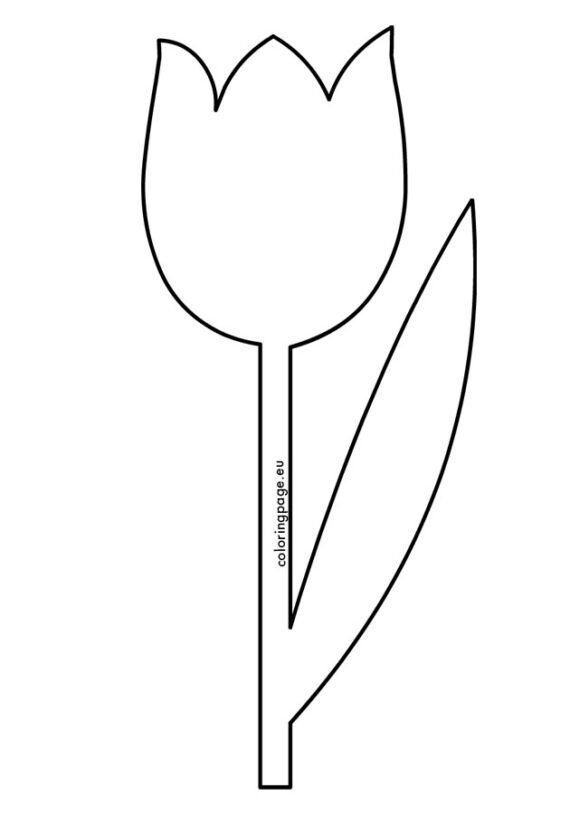 Tulip Outline printable Coloring Page