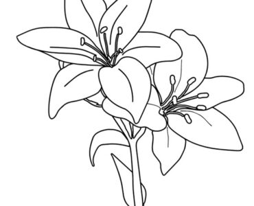 easter lily