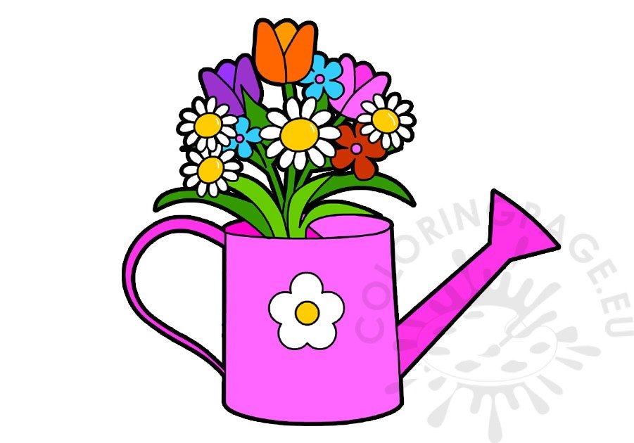 watering can flower
