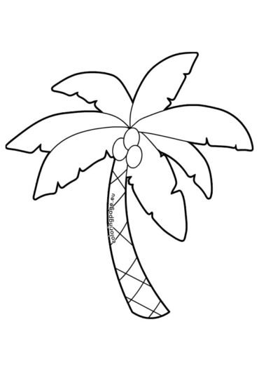 Coconut tree | Coloring Page