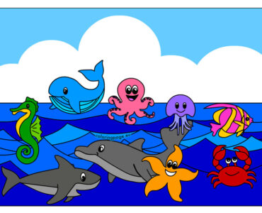 sea creatures