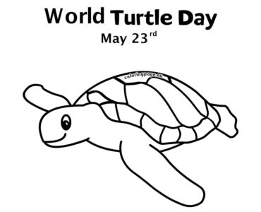 world turtle day