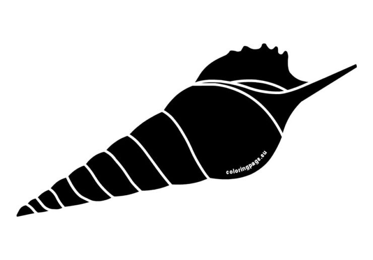 Shell Long Vector Image Long spiral shell | Coloring Page