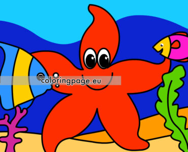 ocean starfish