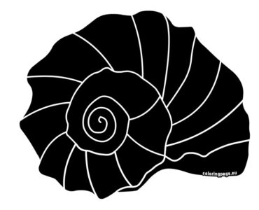 spiral shell