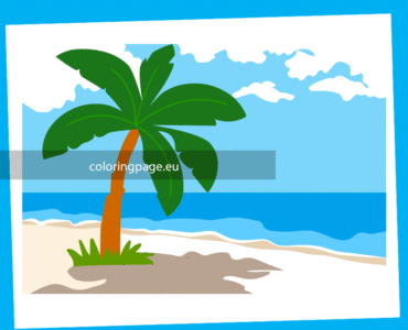 tropical beach