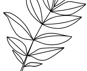 ash leaf