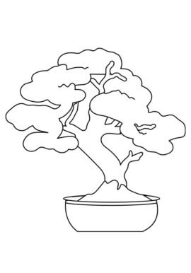 Bonsai | Coloring Page