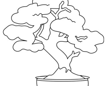 bonsai