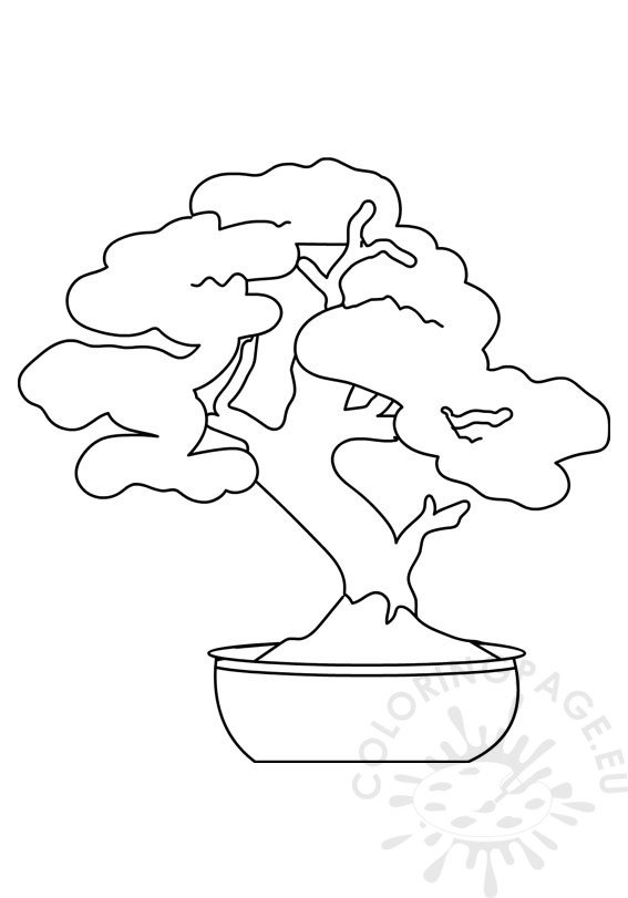 bonsai