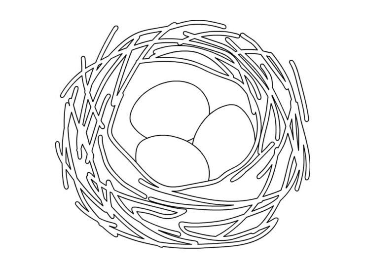 Eggs In Bird Nest Coloring Page - Eggs Bird Nest 740x545 