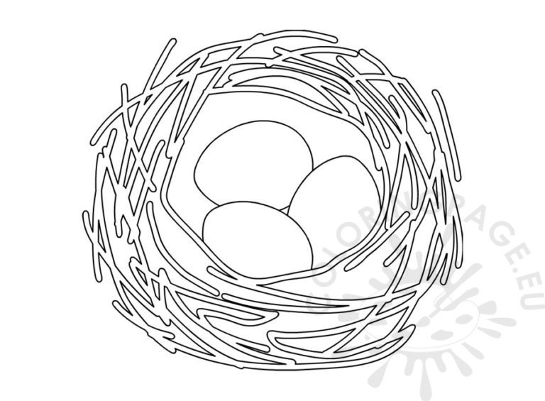 Eggs In Bird Nest | Coloring Page