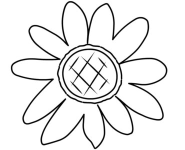 sunflower outline