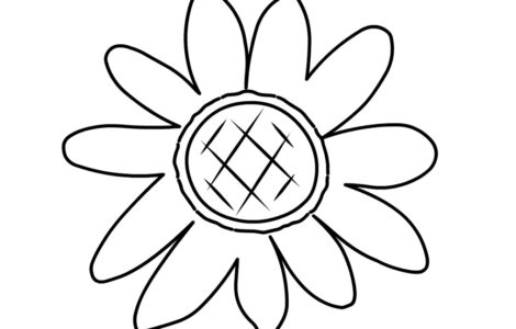 sunflower outline