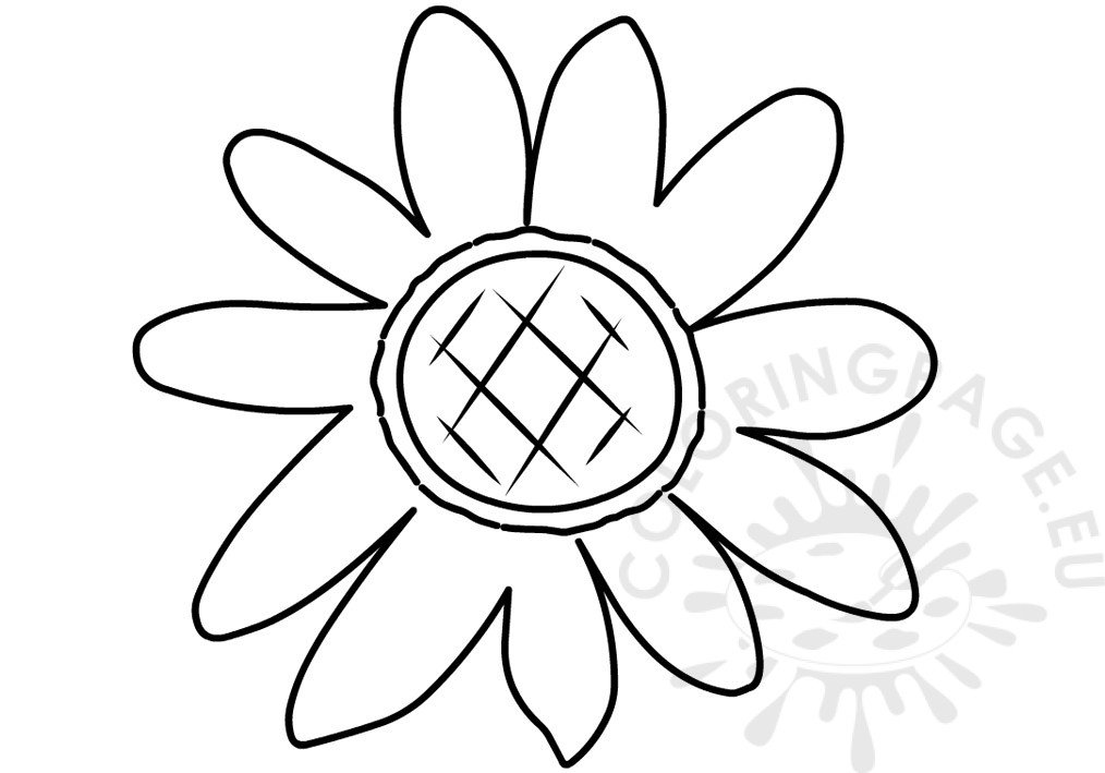 sunflower outline