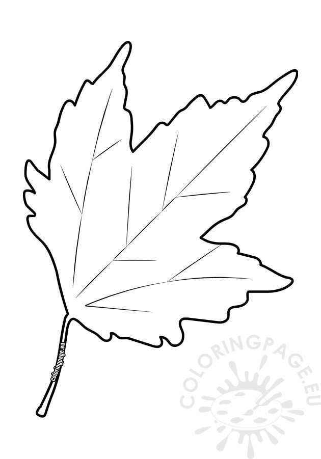 autumn flat leaf 2
