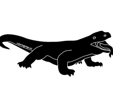 black komodo dragon