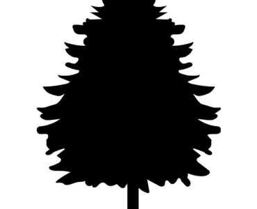 fir tree silhouette