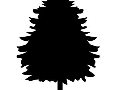 fir tree silhouette