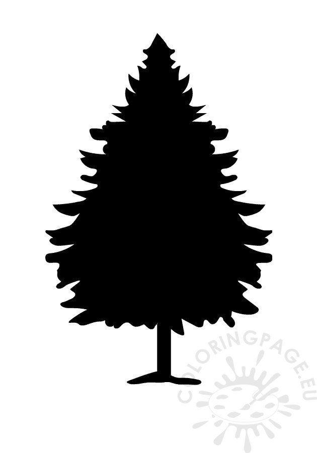 fir tree silhouette